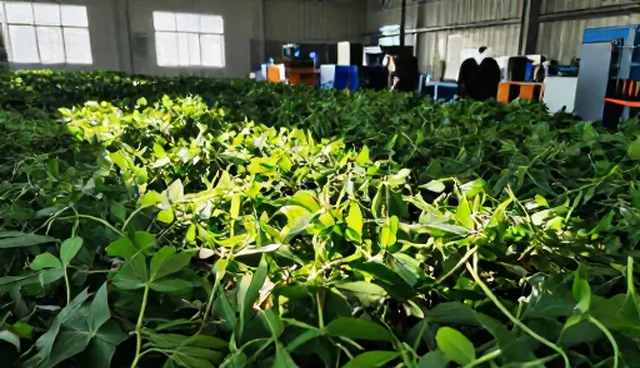 建材检测服务如何通过批量优化提升效率